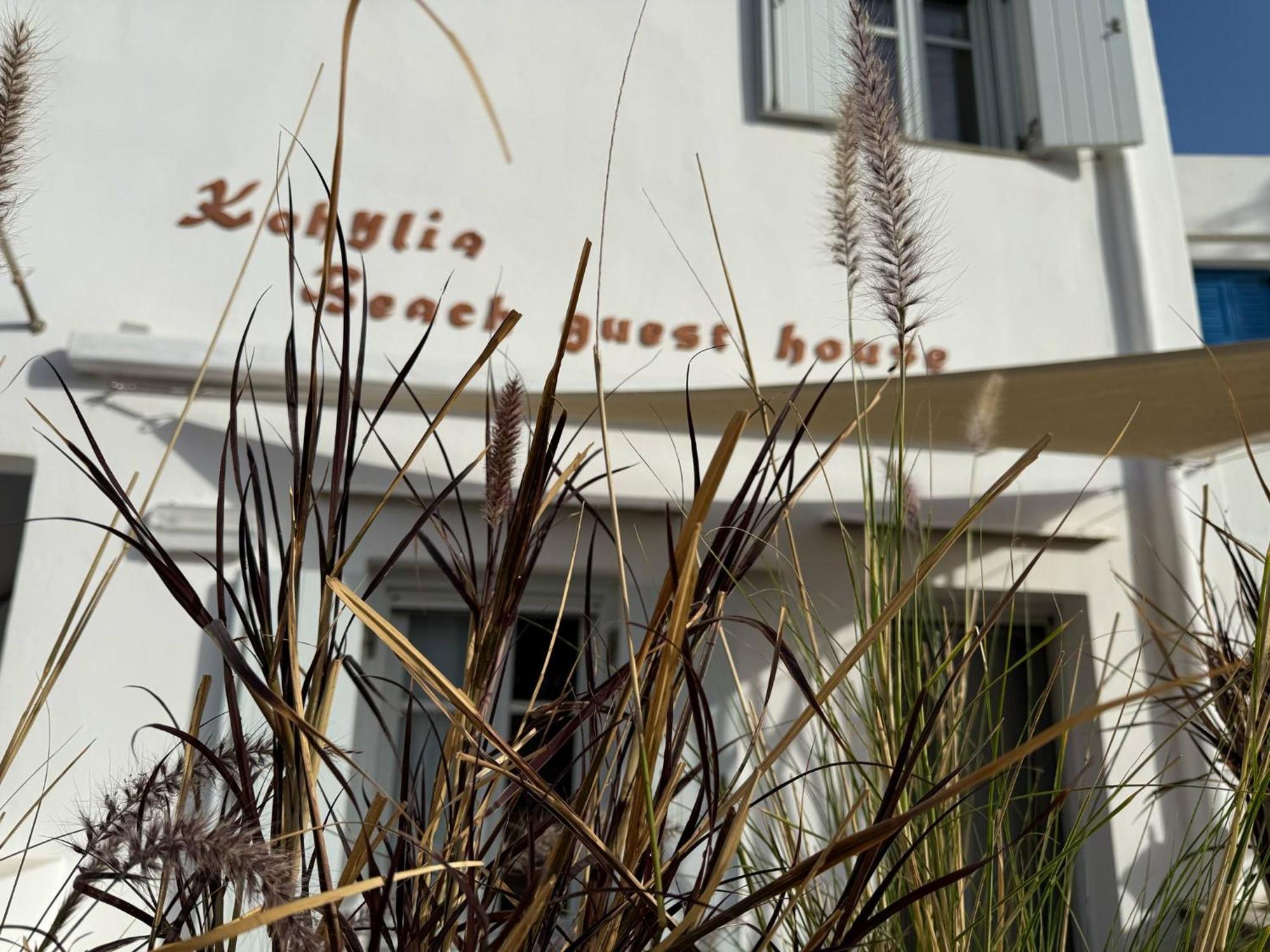 Kohylia Beach Guest House Platis Gialos  Εξωτερικό φωτογραφία