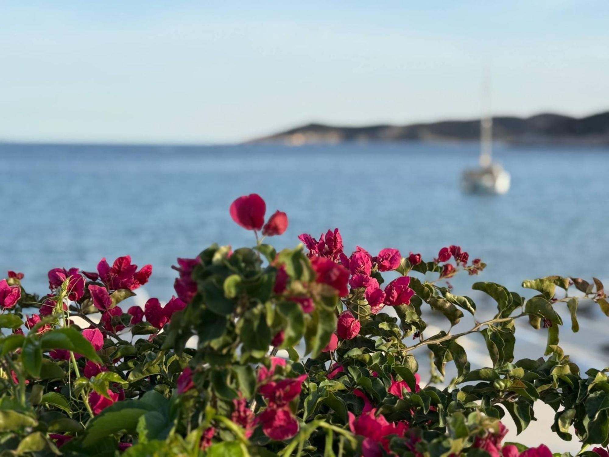 Kohylia Beach Guest House Platis Gialos  Εξωτερικό φωτογραφία
