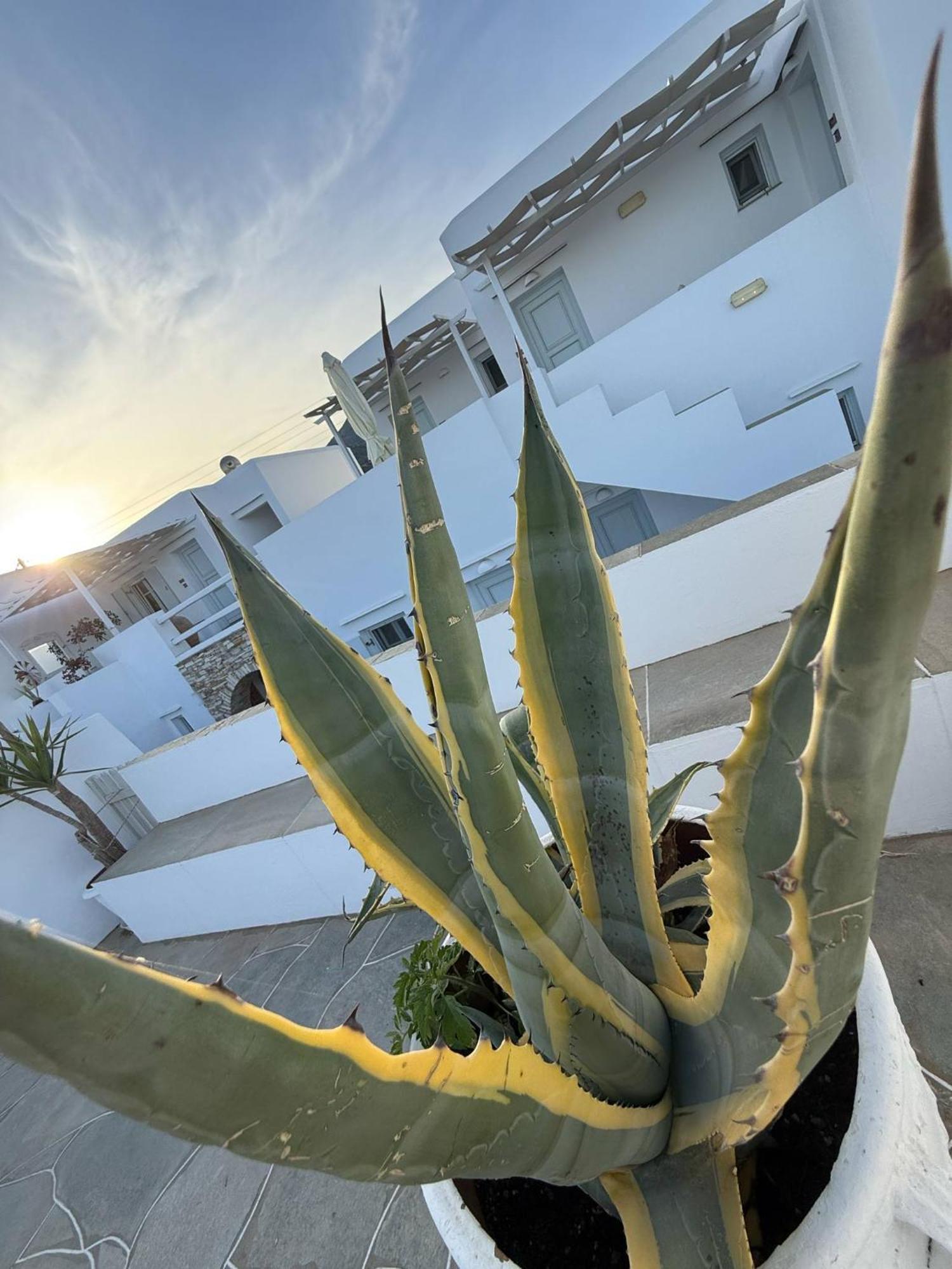 Kohylia Beach Guest House Platis Gialos  Εξωτερικό φωτογραφία